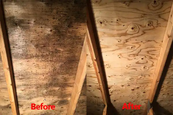 water damage restoration service Yonkers